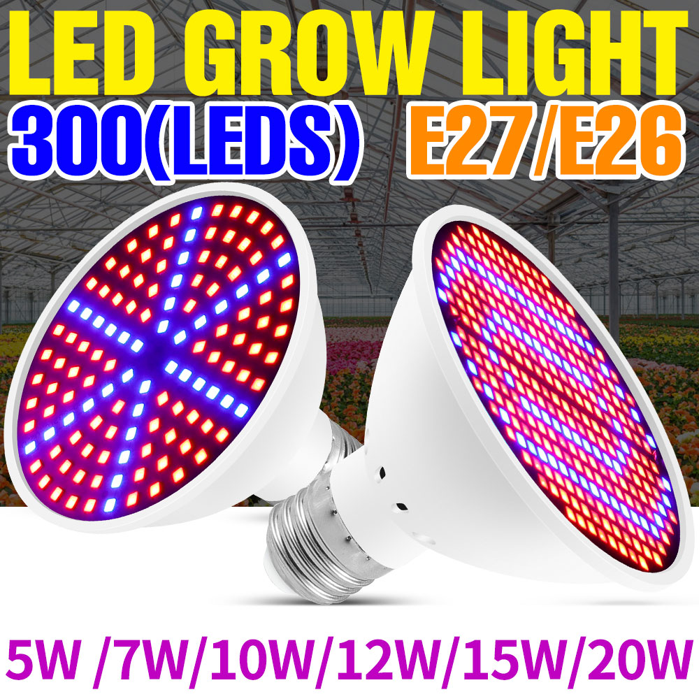 Echeveria Succulent - Lampu LED Spektrum Penuh 25W E27
