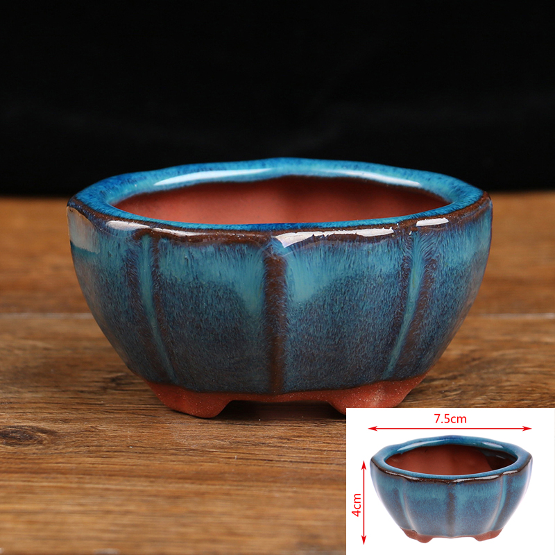1 buah Pot bunga keramik Mini  - Echeveria Succulent ulasan dan harga