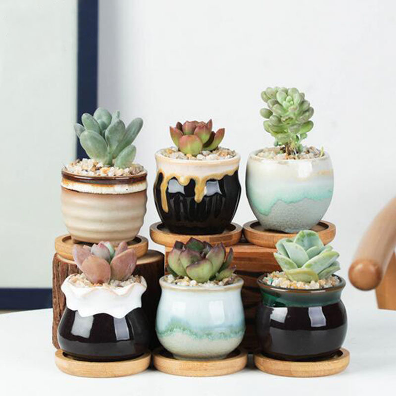 6 Buah/Set Set Pot Bunga Keram - Echeveria Succulent ulasan dan harga