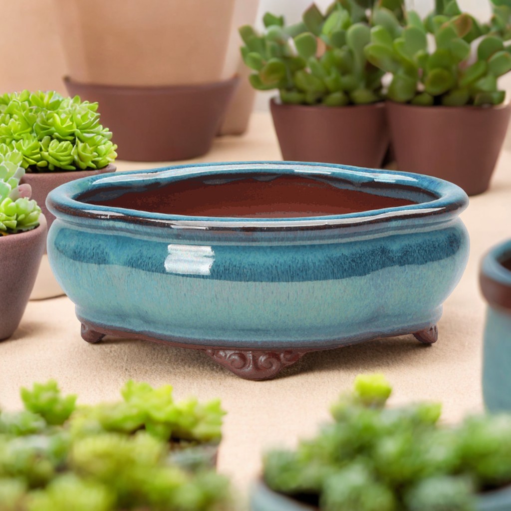 Pot Bunga Sukulen Keramik Pot  - Echeveria Succulent ulasan dan harga